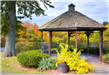 Gazebo during fall season at Mill Pond Park