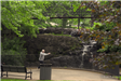 Man doing Tai Chi at base of Mill Pond Falls
