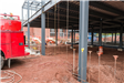 Foundation and Steel Work October 2019-075