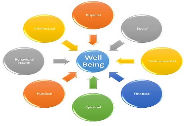 Dimensions of Wellness Spotlight