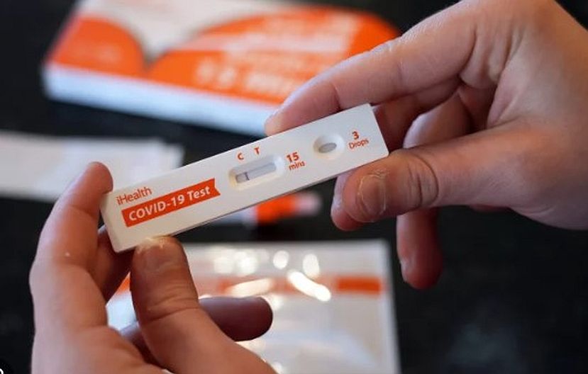 Photo of a human hand holding an at-home covid test kit