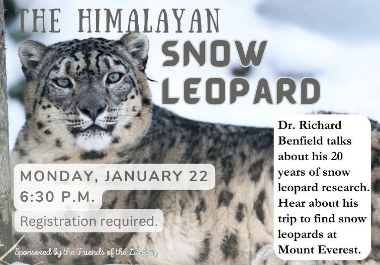 Himalayan snow leopard newsflash