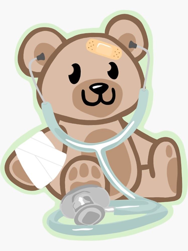 teddy bear clinic