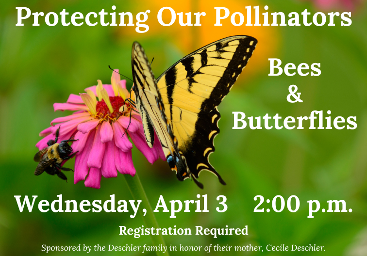 protecting our pollinators
