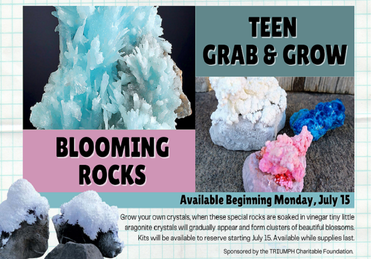 Blooming Rocks Newsflash