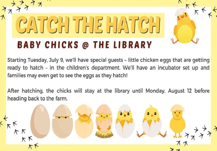 Catch the Hatch 2024