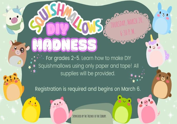 Squishmallow DIY Madness newsflash
