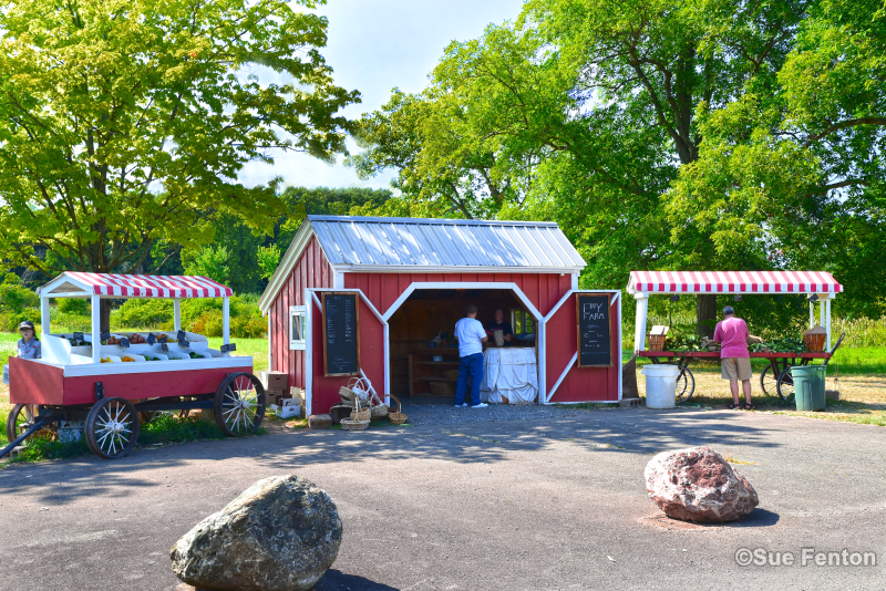 Eddy Farm Roadside Stand
