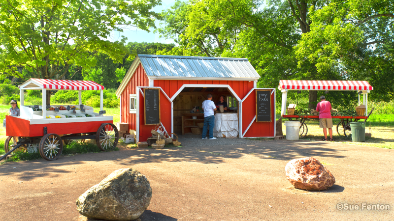 View of Eddy Farm roadside stand