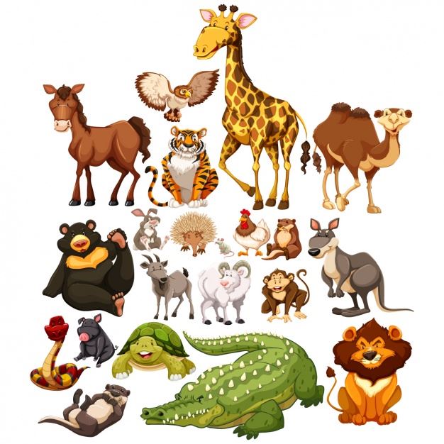animals