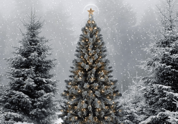 Picture of a christmas tree