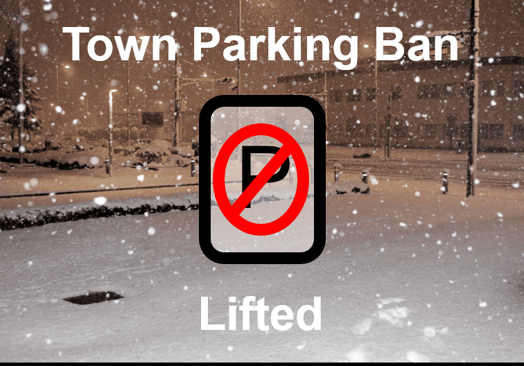 No parking sign with snowing background saying parking ban lifted