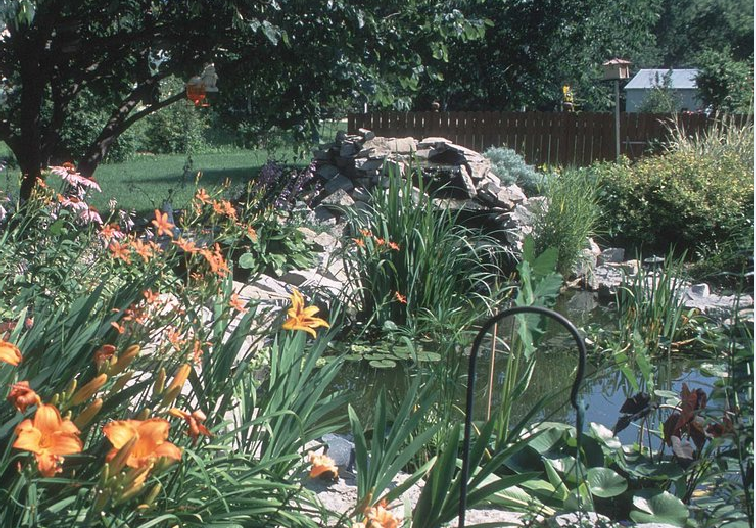 backyard pond view - final